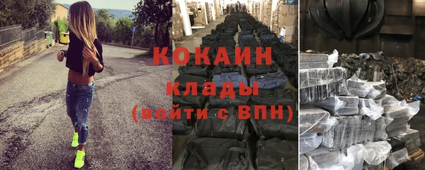 ECSTASY Горняк