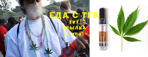 ECSTASY Горняк