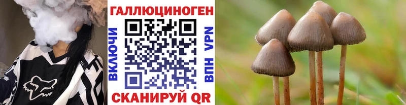 хочу   Пермь  Псилоцибиновые грибы GOLDEN TEACHER 